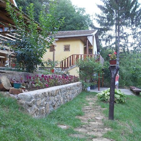 Apartments Borove Noci فردنيك المظهر الخارجي الصورة