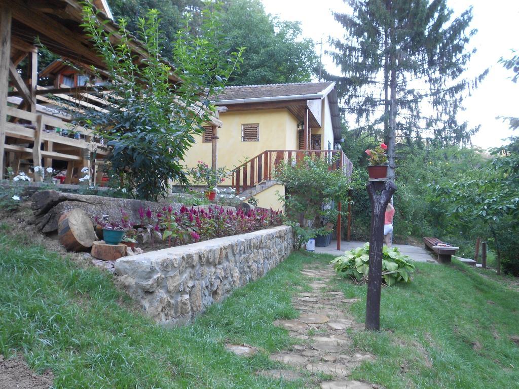 Apartments Borove Noci فردنيك المظهر الخارجي الصورة